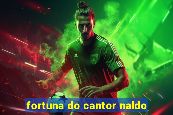 fortuna do cantor naldo